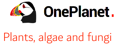 OnePlanet Environmental English logo